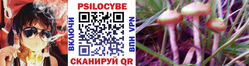 Псилоцибиновые грибы Psilocybine cubensis  kraken вход  Балабаново 